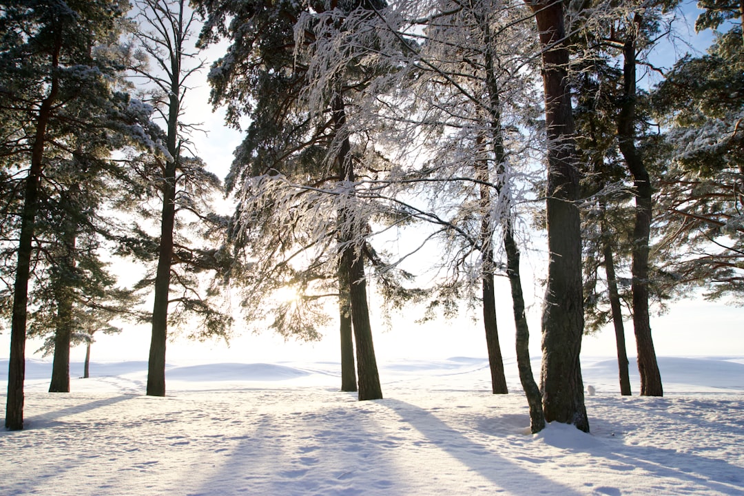 Gripe y virus: Cómo proteger tu salud este invierno